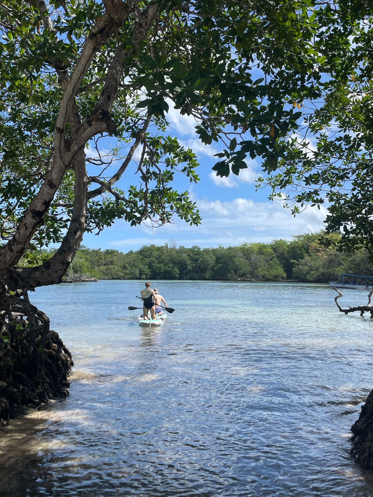 paddleboarding towards ocean